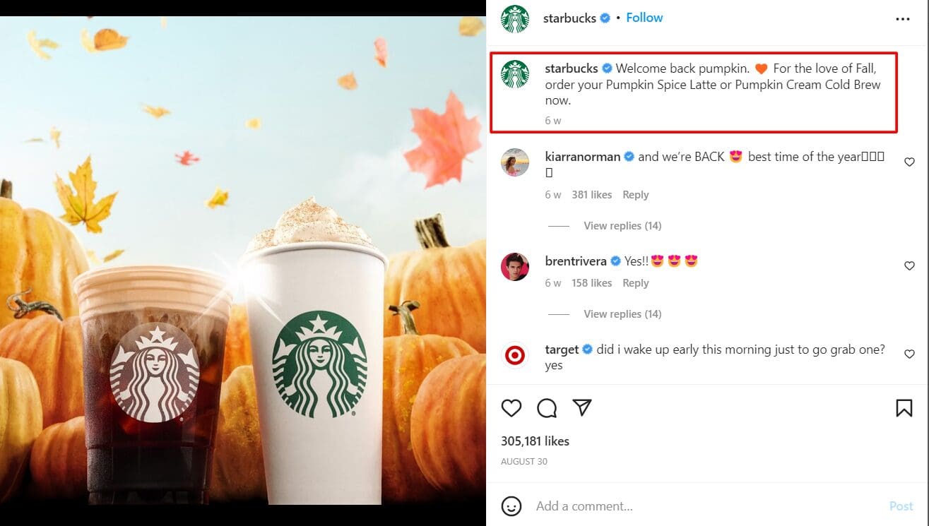 Instagram Captions 1 instagram caption