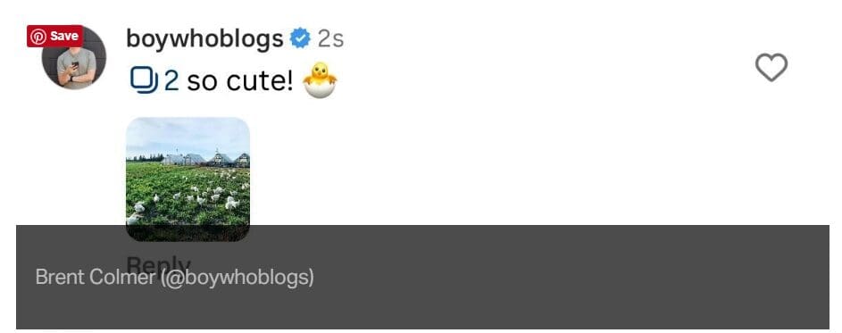 Instagram Tests New Feature: Target Your Comments in Carousel Posts 1 carousel posts