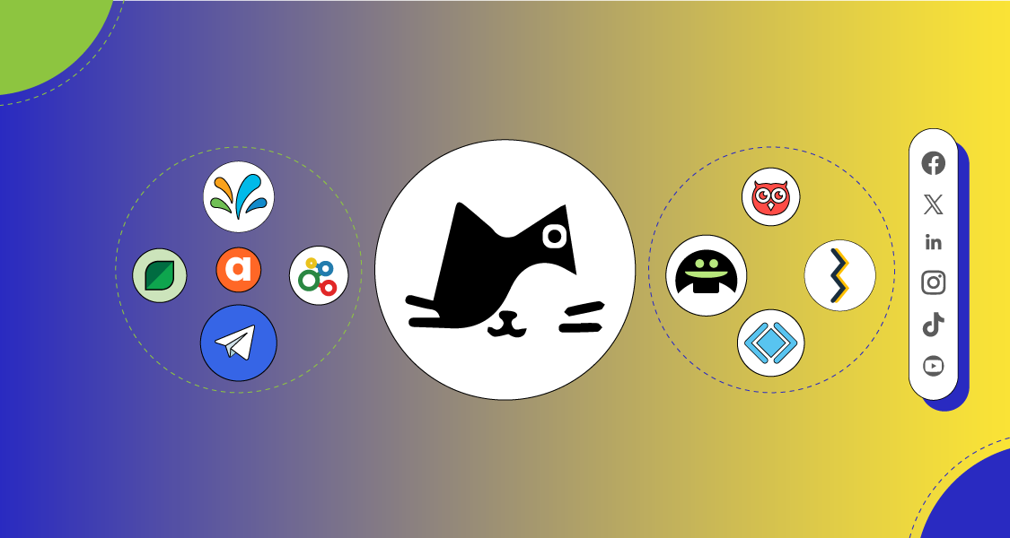 NapoleonCat Alternatives